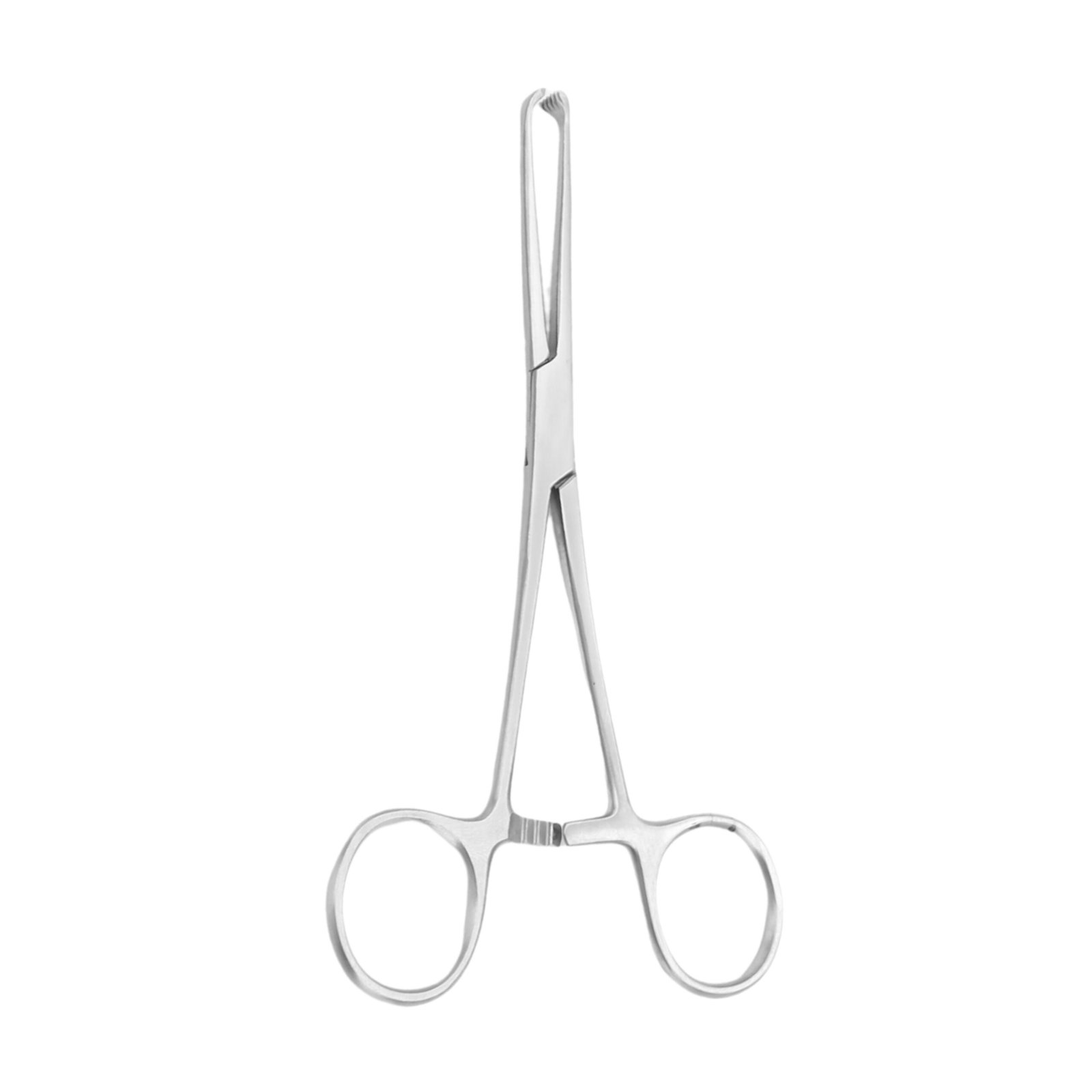 3100-015 Allis Tissue Forceps, Straight, 15cm - Image 1