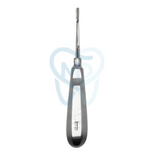 Bein Root Elevator, Straight, Fig. 2, 3.2mm