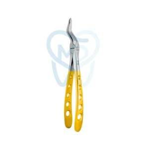 Upper Spade root