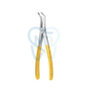 Lower Spade root