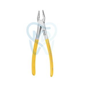 Upper Anterior