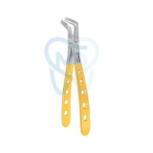 Lower  Molar