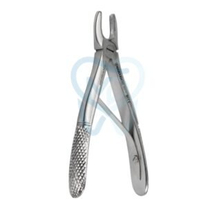 Fig. 137, Upper Incisors