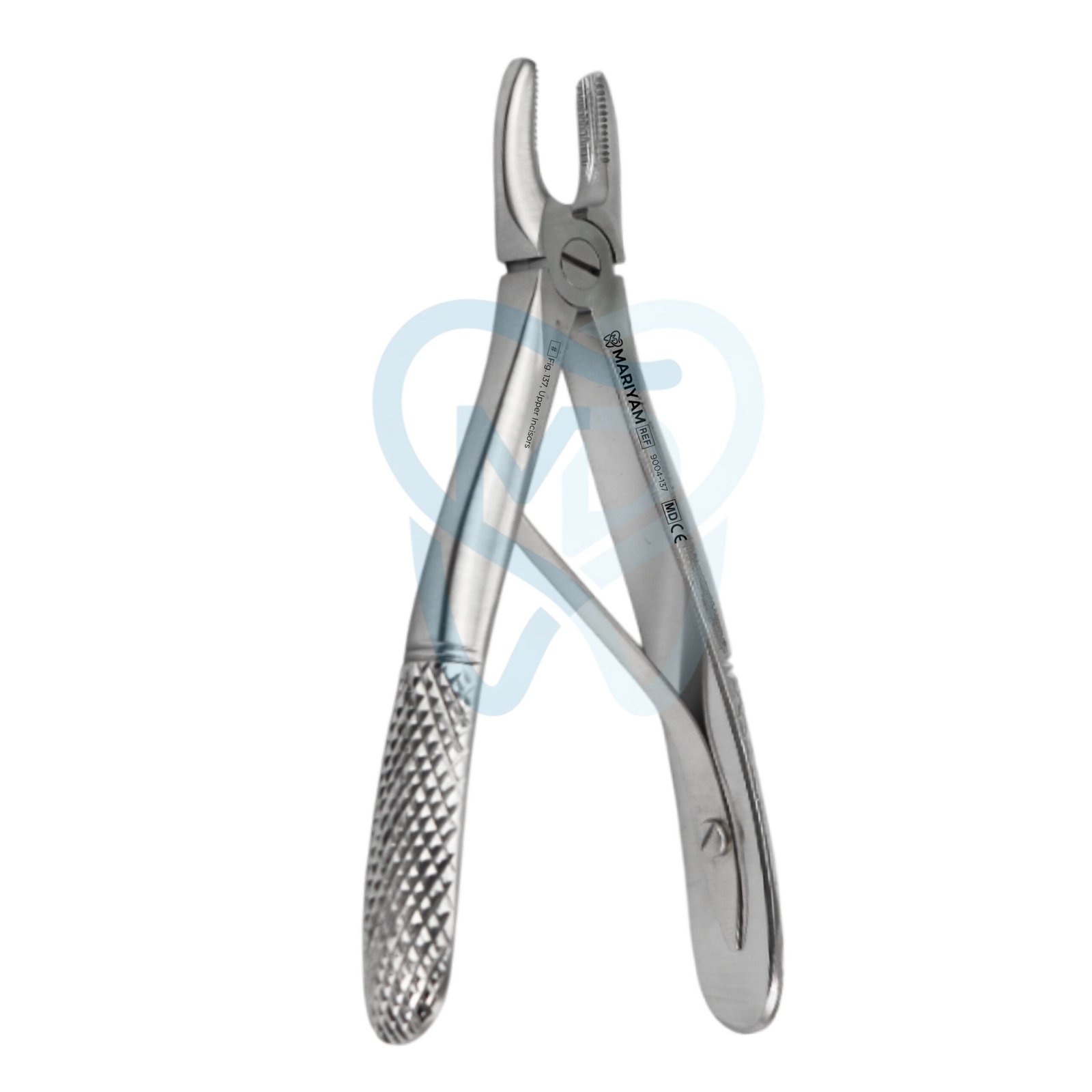 9004-137 Fig. 137, Upper Incisors - Image 1