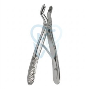 Fig. 3 Upper Molars