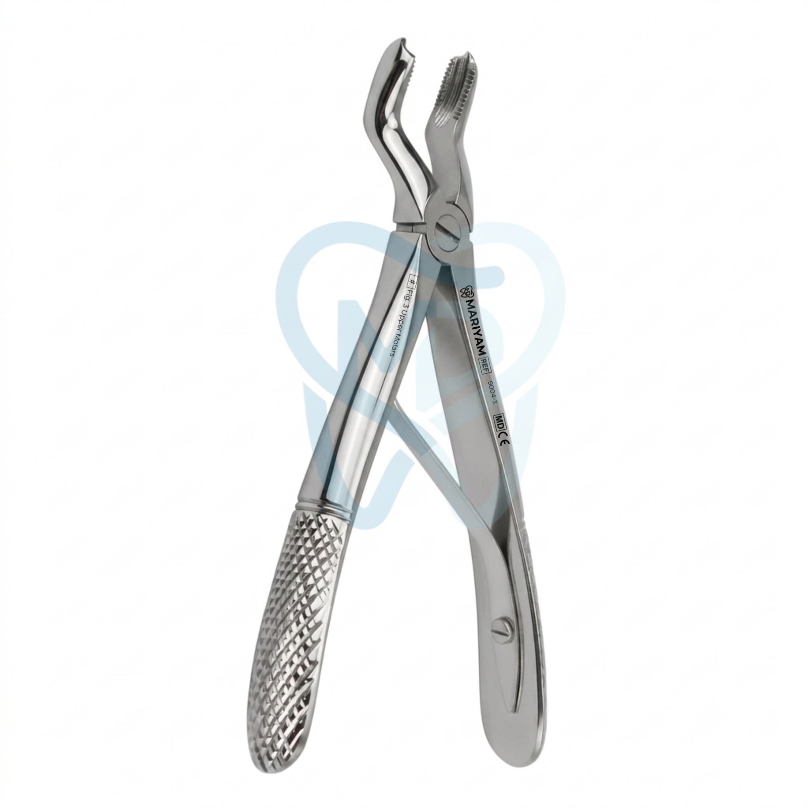 9004-3 (2) Fig. 3 Upper Molars - Image 1