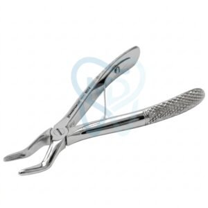 Fig. 5, Lower Incisors
