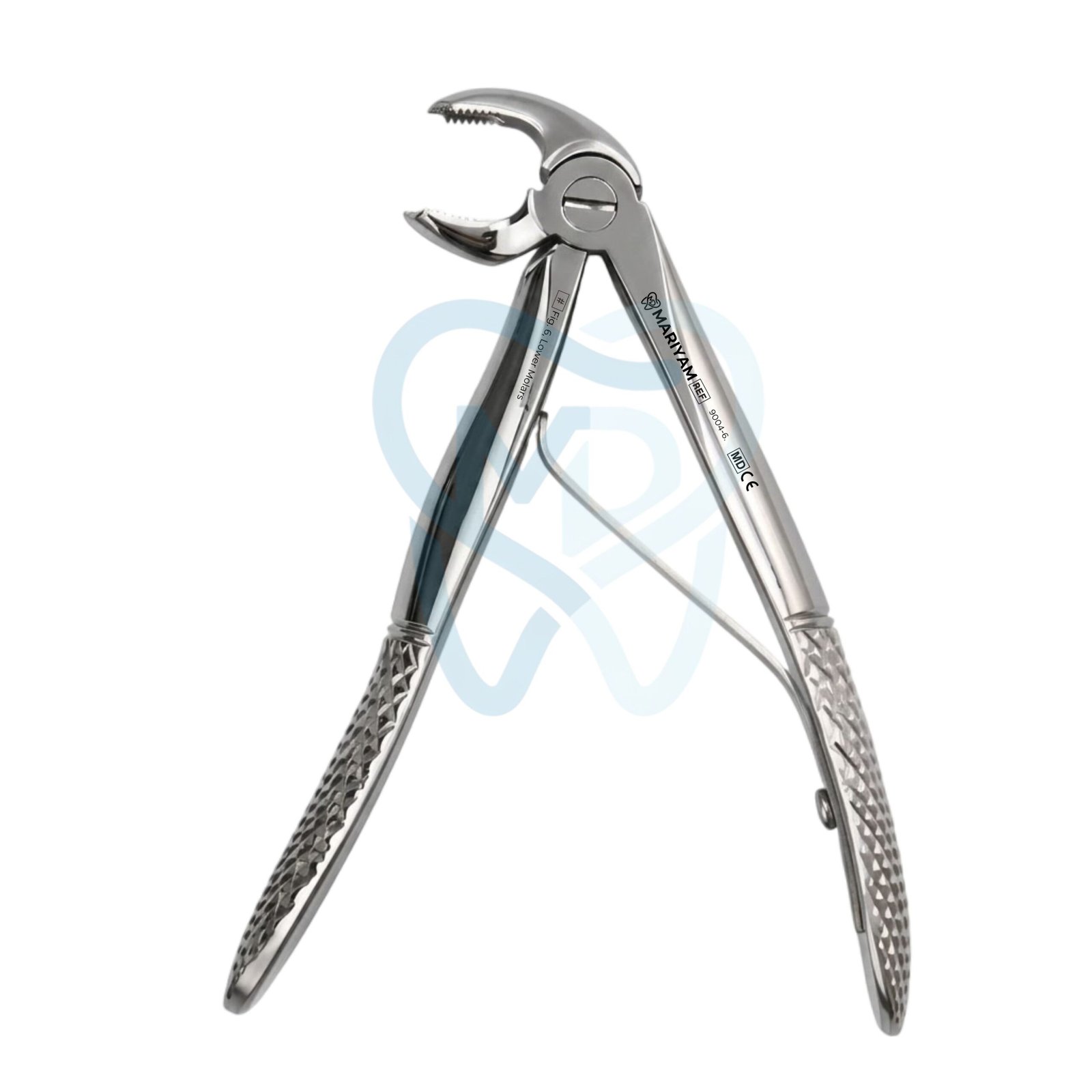 9004-6 (2) Fig. 6, Lower Molars - Image 1