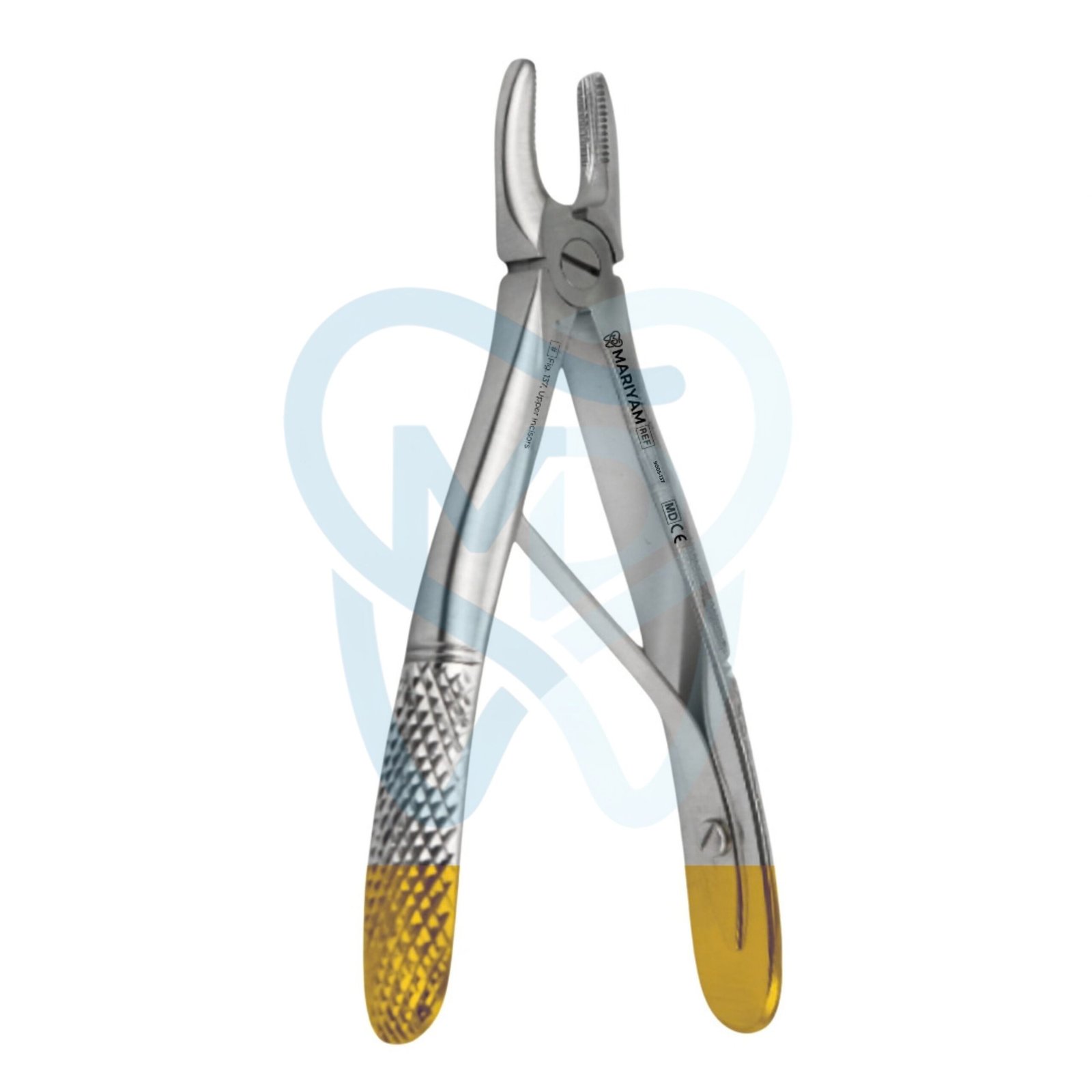 9005-137 Fig. 137, Upper Incisors - Image 1