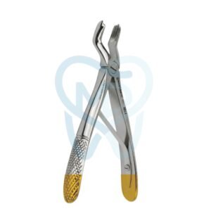 Fig. 3 Upper Molars