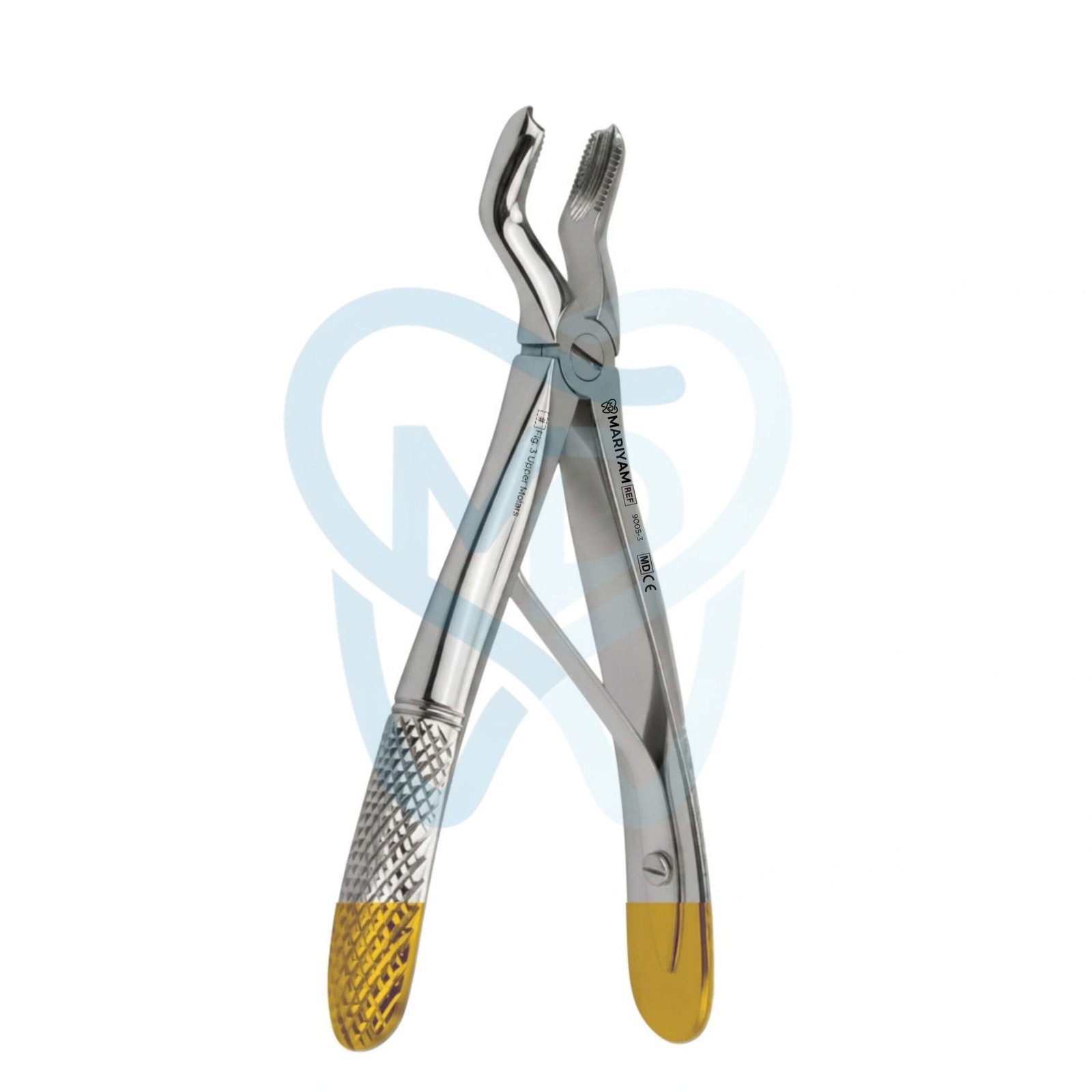 9005-3 Fig. 3 Upper Molars - Image 1