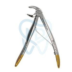 Fig. 6, Lower Molars