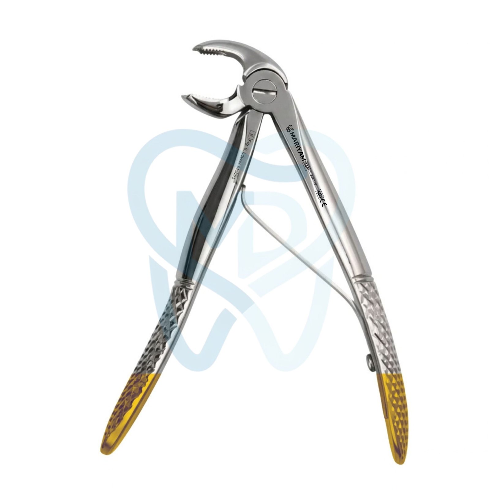 9005-6 Fig. 6, Lower Molars - Image 1
