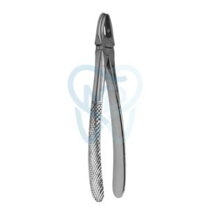 Fig. 1. Upper Incisors and Molars