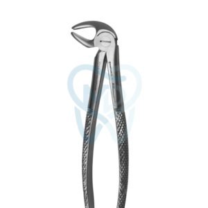 Fig. 13. Lower Molars and Premolars