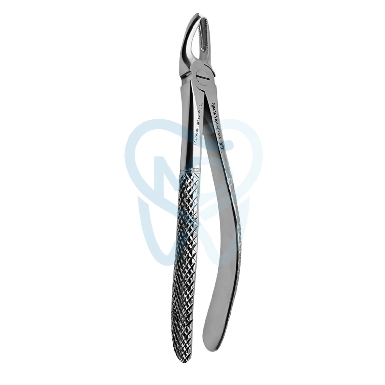 F9000-17 Fig. 17. Upper Molars, Right - Image 1