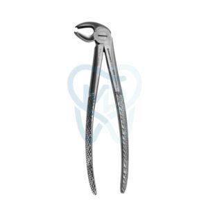 Fig. 22. Lower Molars