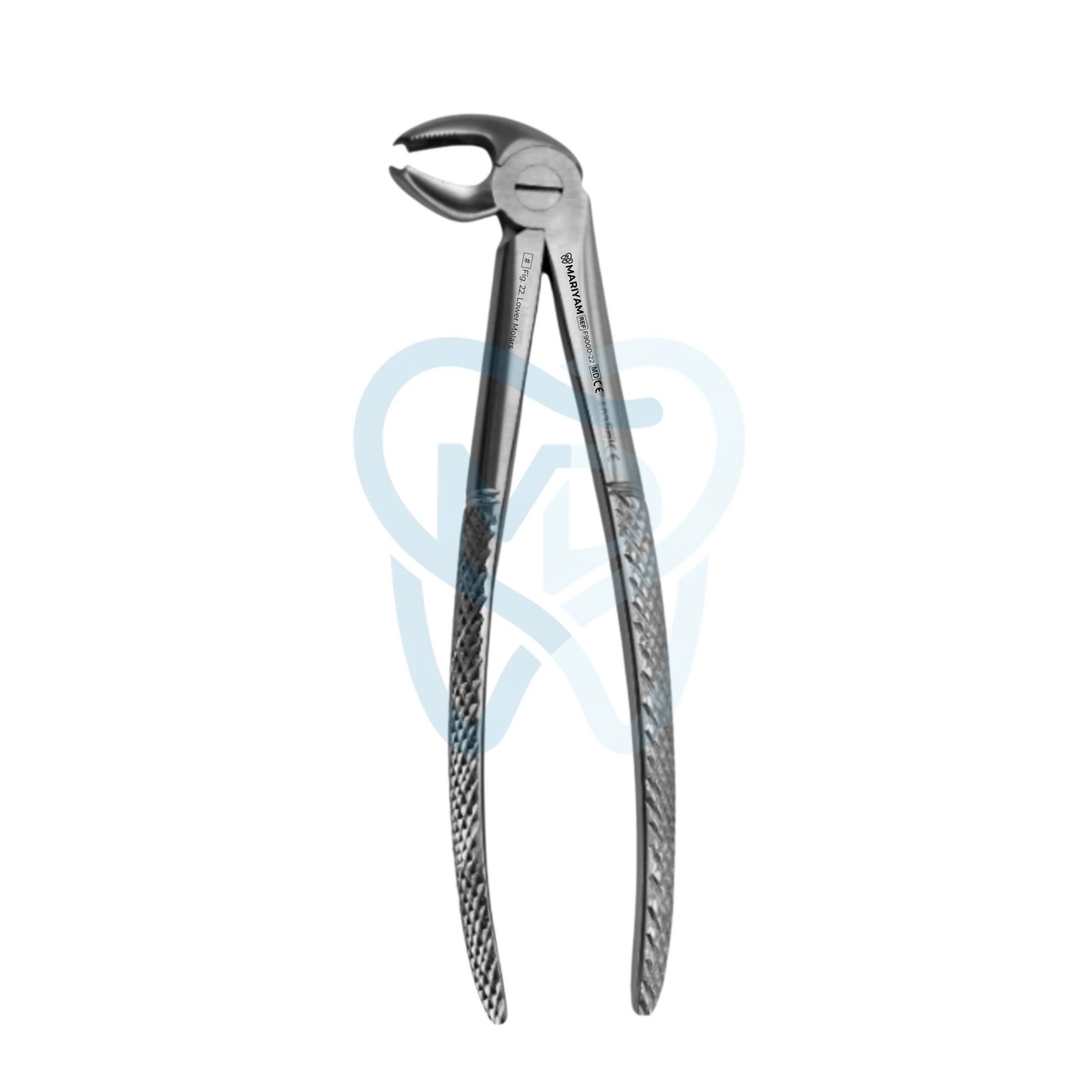 F9000-22 Fig. 22. Lower Molars - Image 1