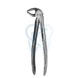 Fig. 33A. Lower Incisors, Premolars and Roots