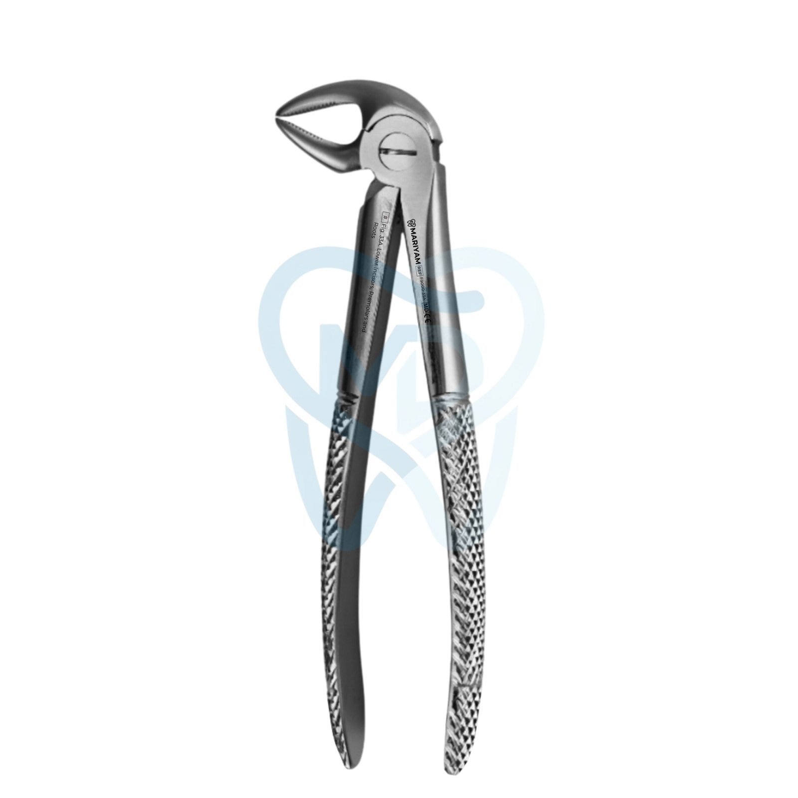 F9000-33A Fig. 33A. Lower Incisors, Premolars and Roots - Image 1