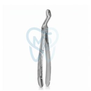 Fig. 67A. Upper Molars for Upper Wisdom Teeth