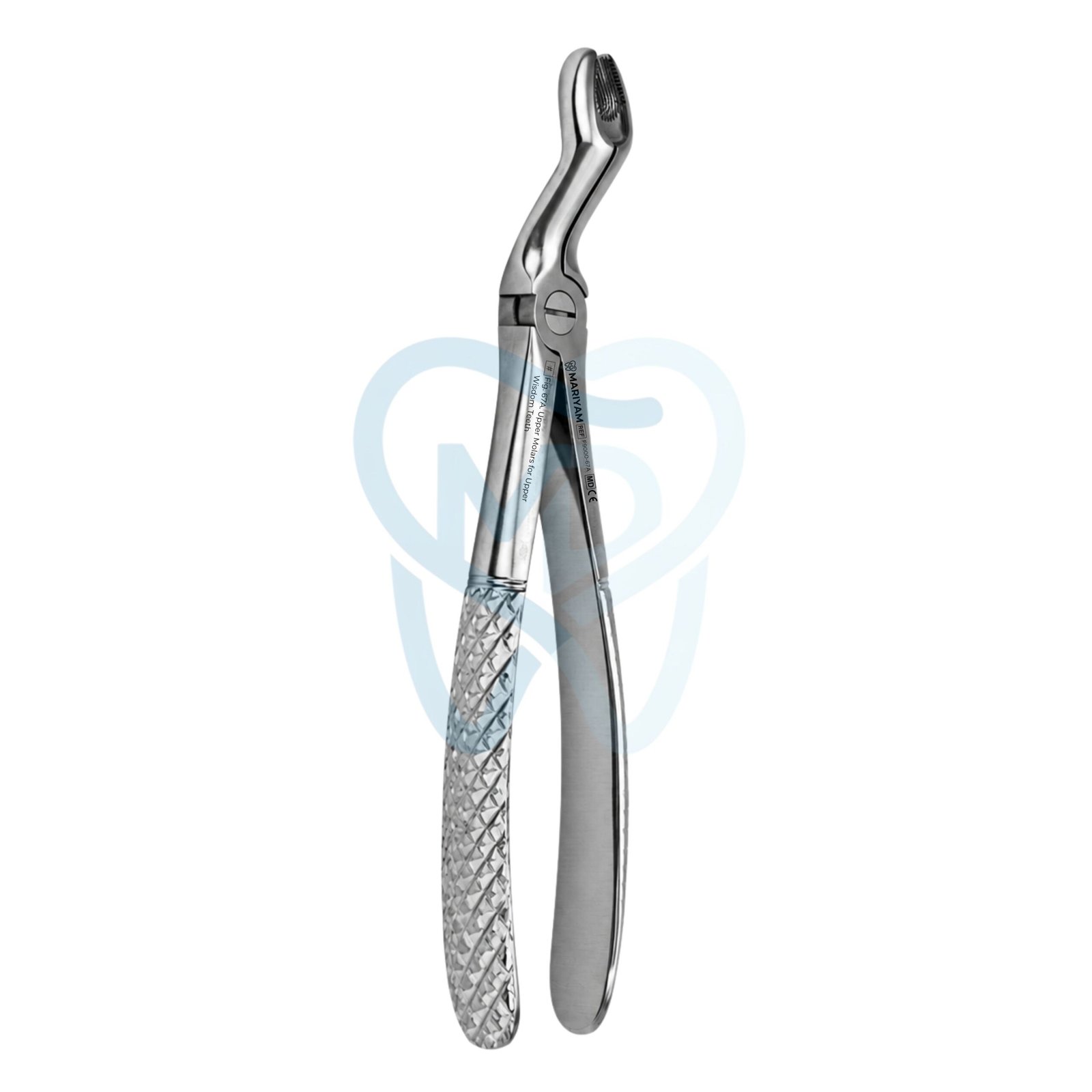 F9000-67A Fig. 67A. Upper Molars for Upper Wisdom Teeth - Image 1