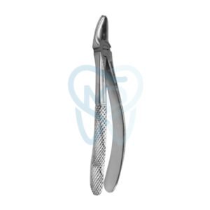 Fig. 7. Upper Premolars
