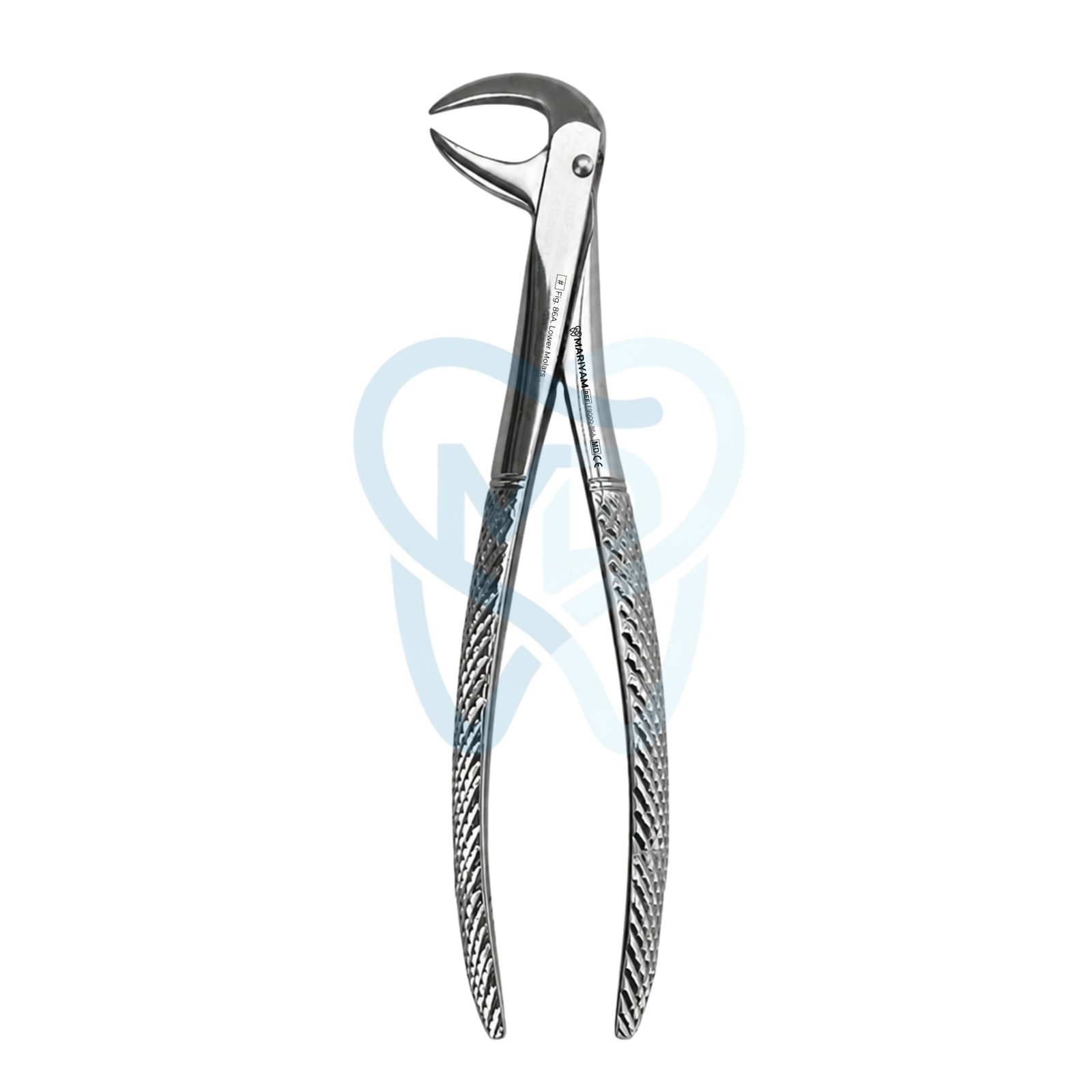 F9000-86A Fig. 86A. Lower Molars - Image 1
