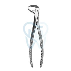 Fig. 86A. Lower Molars