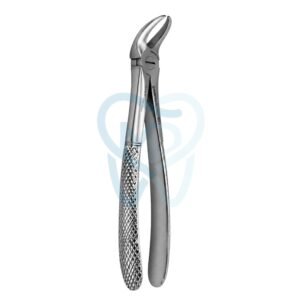 Fig. 87. Lower Molars