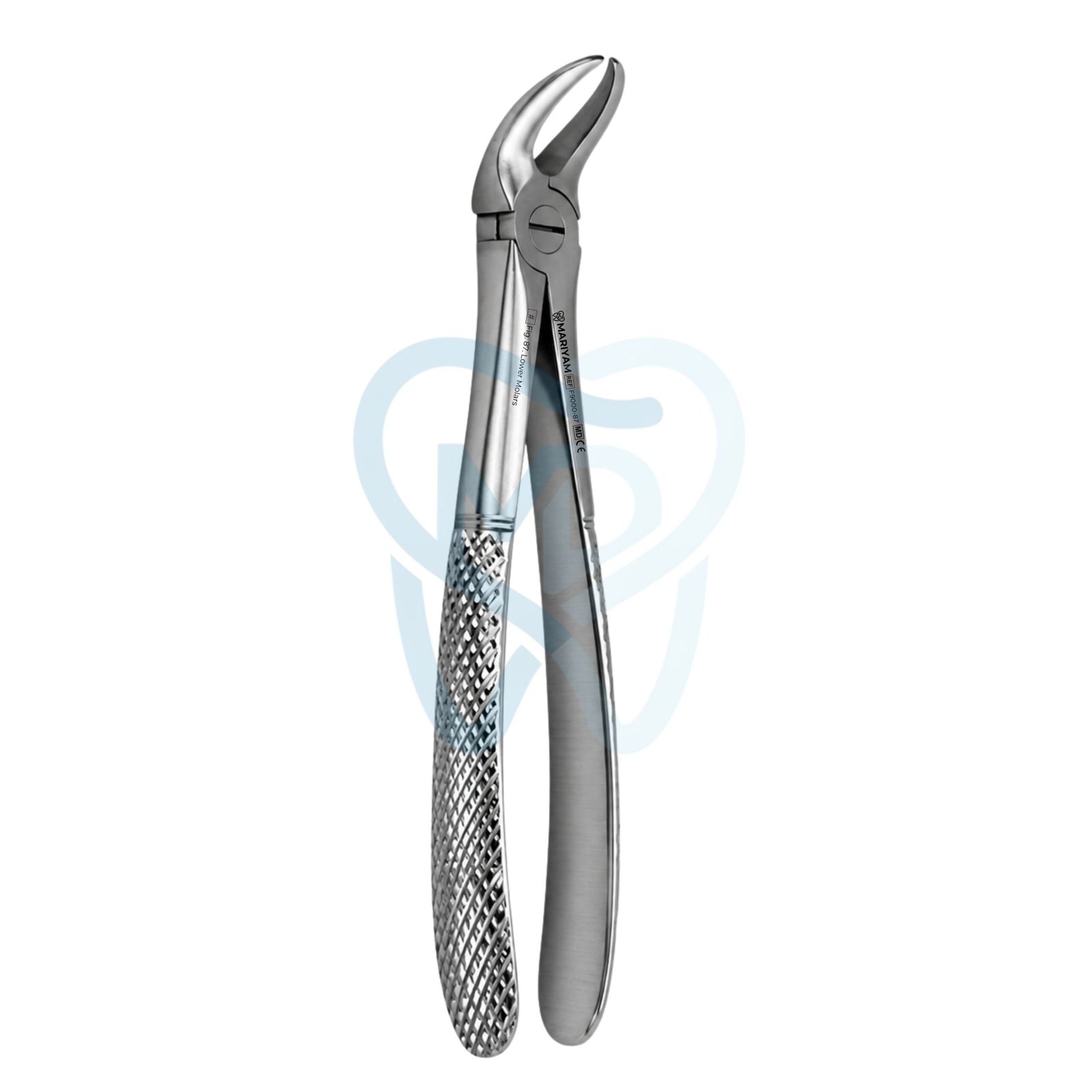 F9000-87 Fig. 87. Lower Molars - Image 1