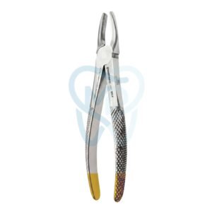 Fig. 1. Upper Incisors and Molars