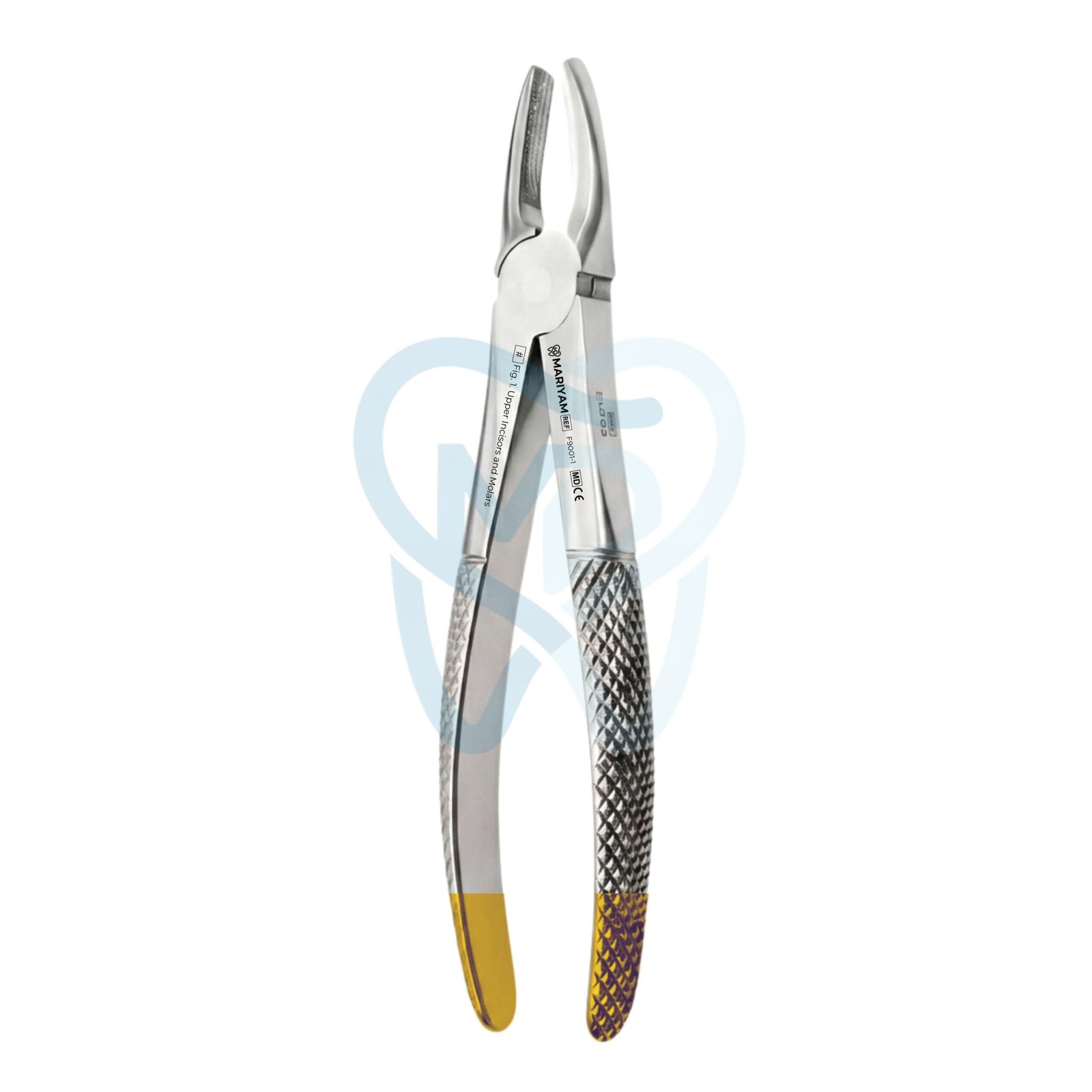 F9001-1 Fig. 1. Upper Incisors and Molars - Image 1