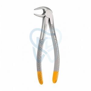 Fig. 13. Lower Molars and Premolars