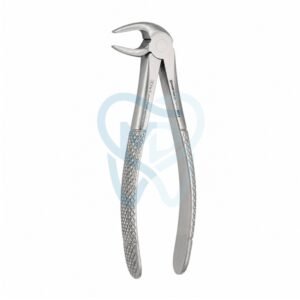 Fig. 13. Lower Molars and Premolars