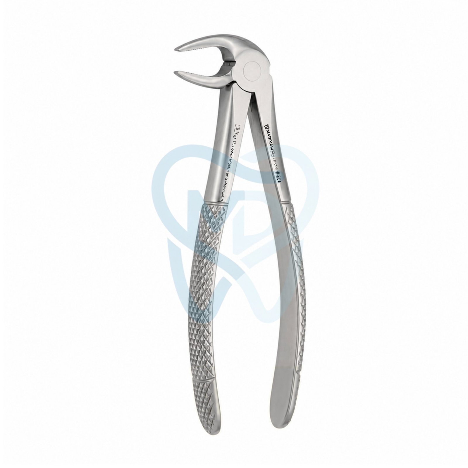 F9001-13 Fig. 13. Lower Molars and Premolars - Image 1