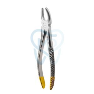 Fig. 17. Upper Molars, Right