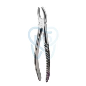 Fig. 17. Upper Molars, Right