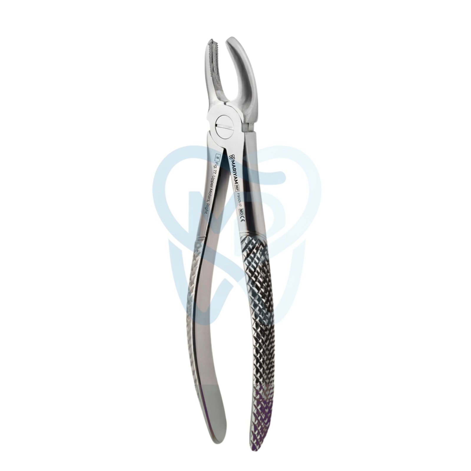F9001-17 Fig. 17. Upper Molars, Right - Image 1