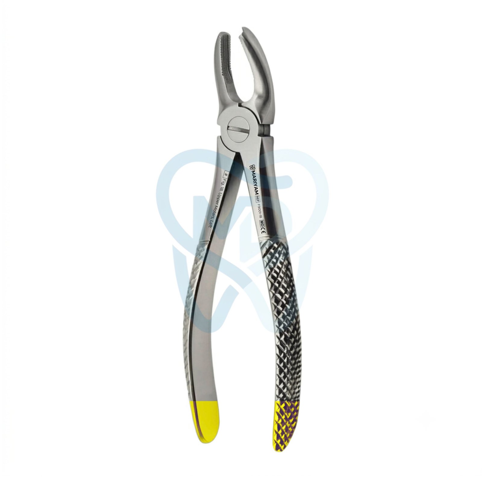 F9001-18 Fig. 18. Upper Molars, Left - Image 1
