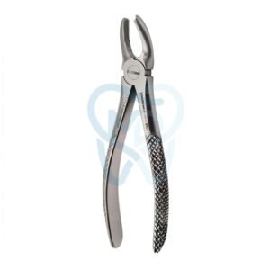 Fig. 18. Upper Molars, Left