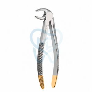 Fig. 22. Lower Molars
