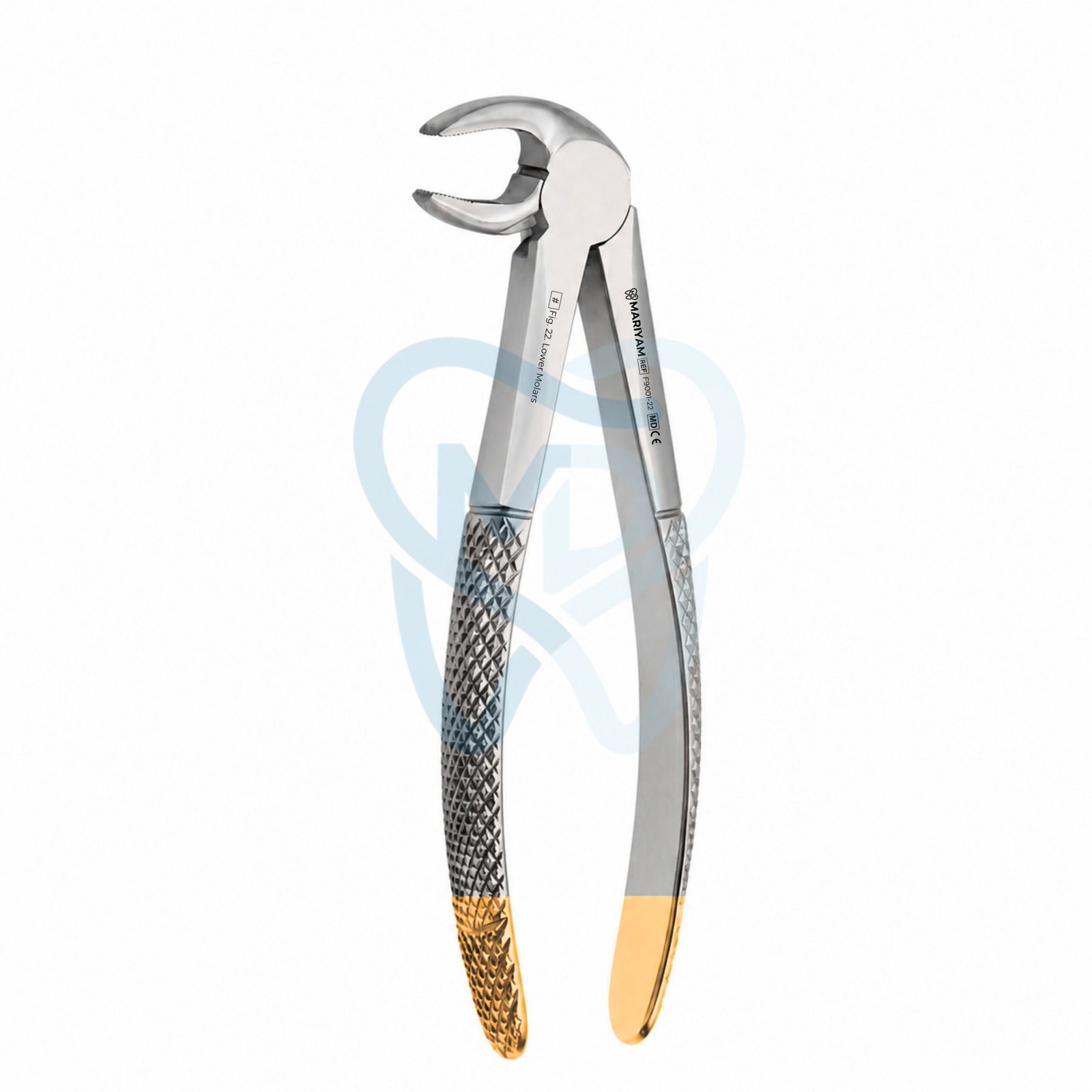 F9001-22 Fig. 22. Lower Molars - Image 1