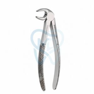 Fig. 22. Lower Molars