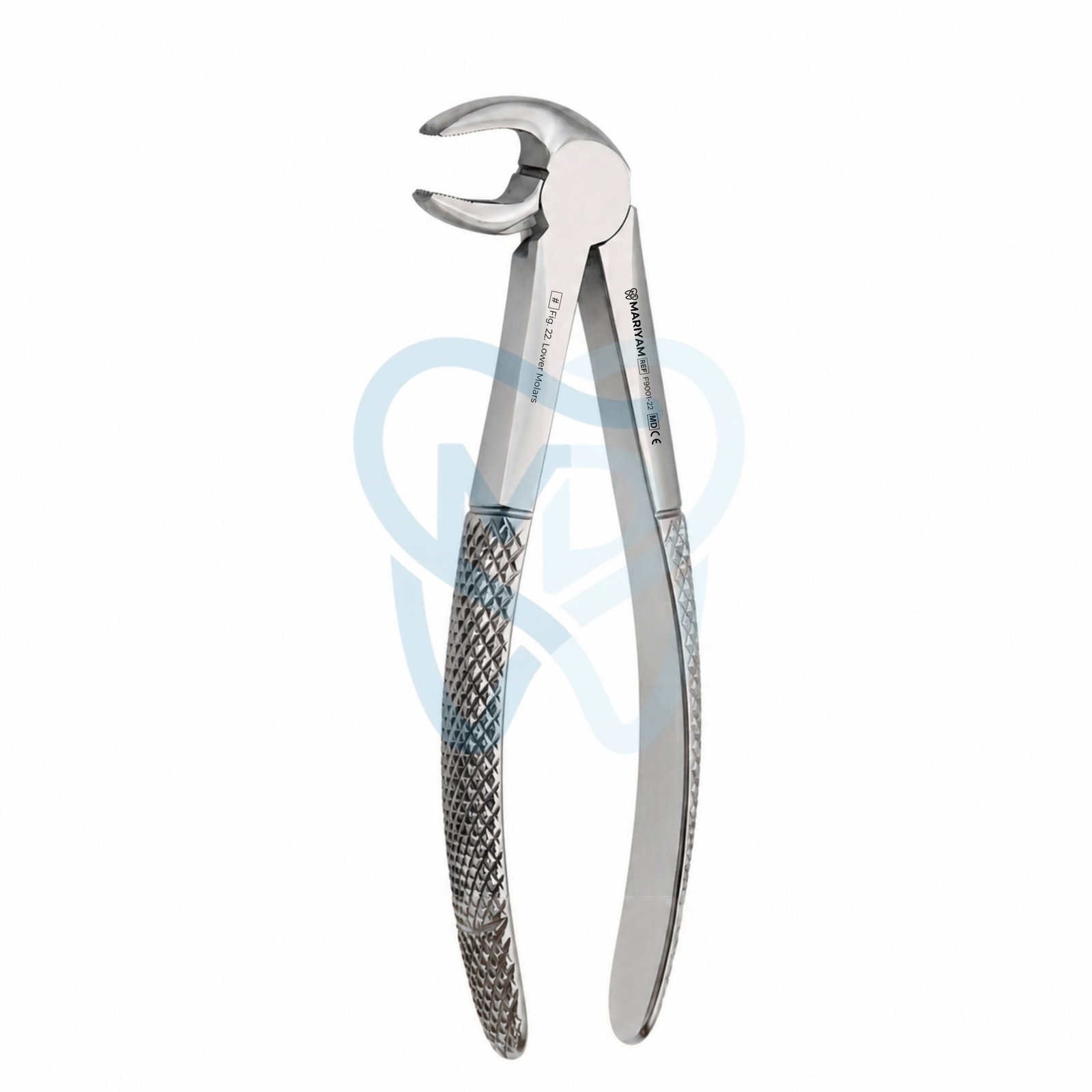 F9001-22 Fig. 22. Lower Molars - Image 1