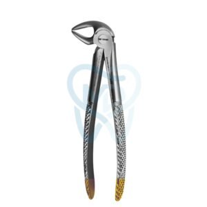 Fig. 33A. Lower Incisors, Premolars and Roots