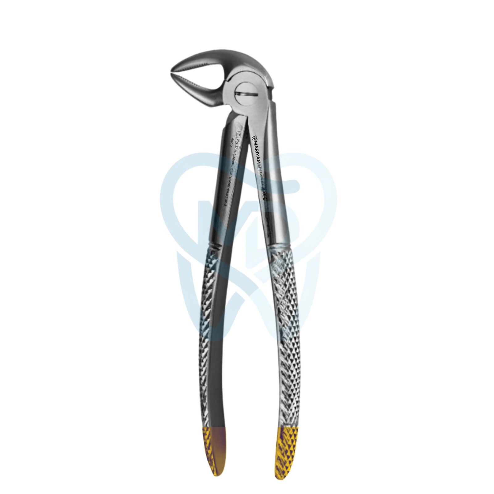 F9001-33a Fig. 33A. Lower Incisors, Premolars and Roots - Image 1