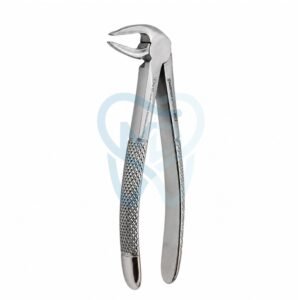 Fig. 33A. Lower Incisors, Premolars and Roots
