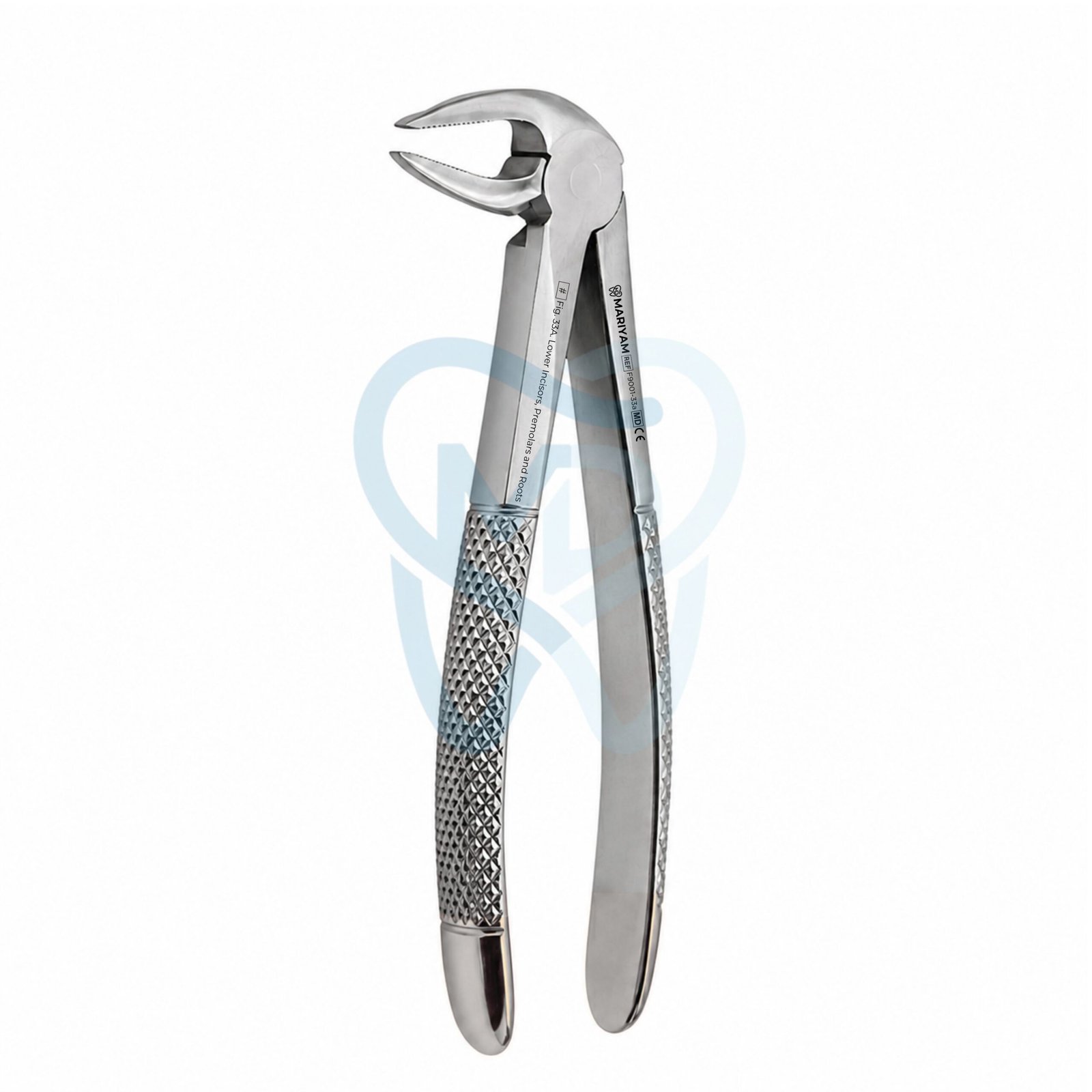 F9001-33a Fig. 33A. Lower Incisors, Premolars and Roots - Image 1