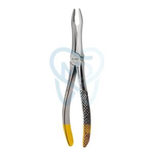 Fig. 41. Upper Roots